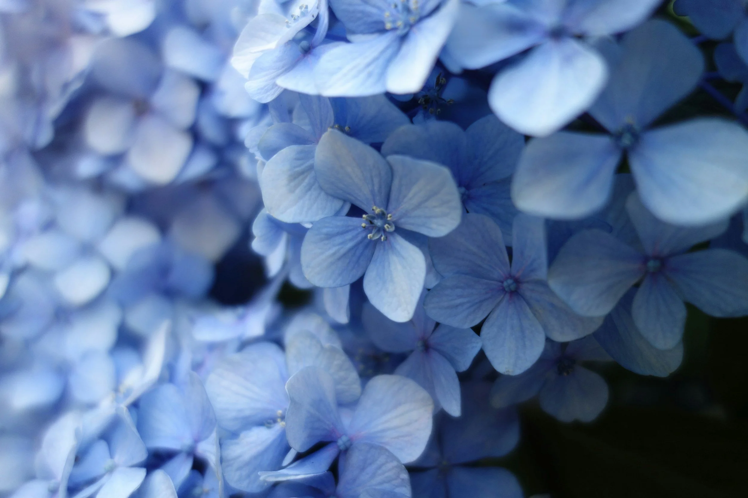 unsplash-image-qzoSJlPxS9k.jpg