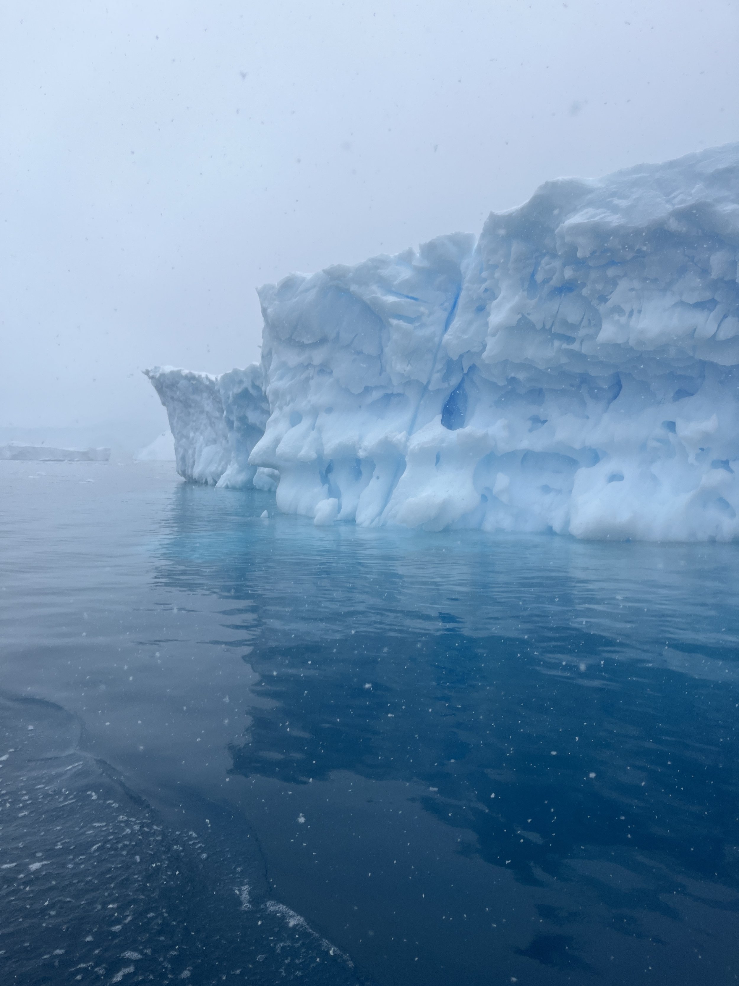The first of many icebergs we'd see on this trip