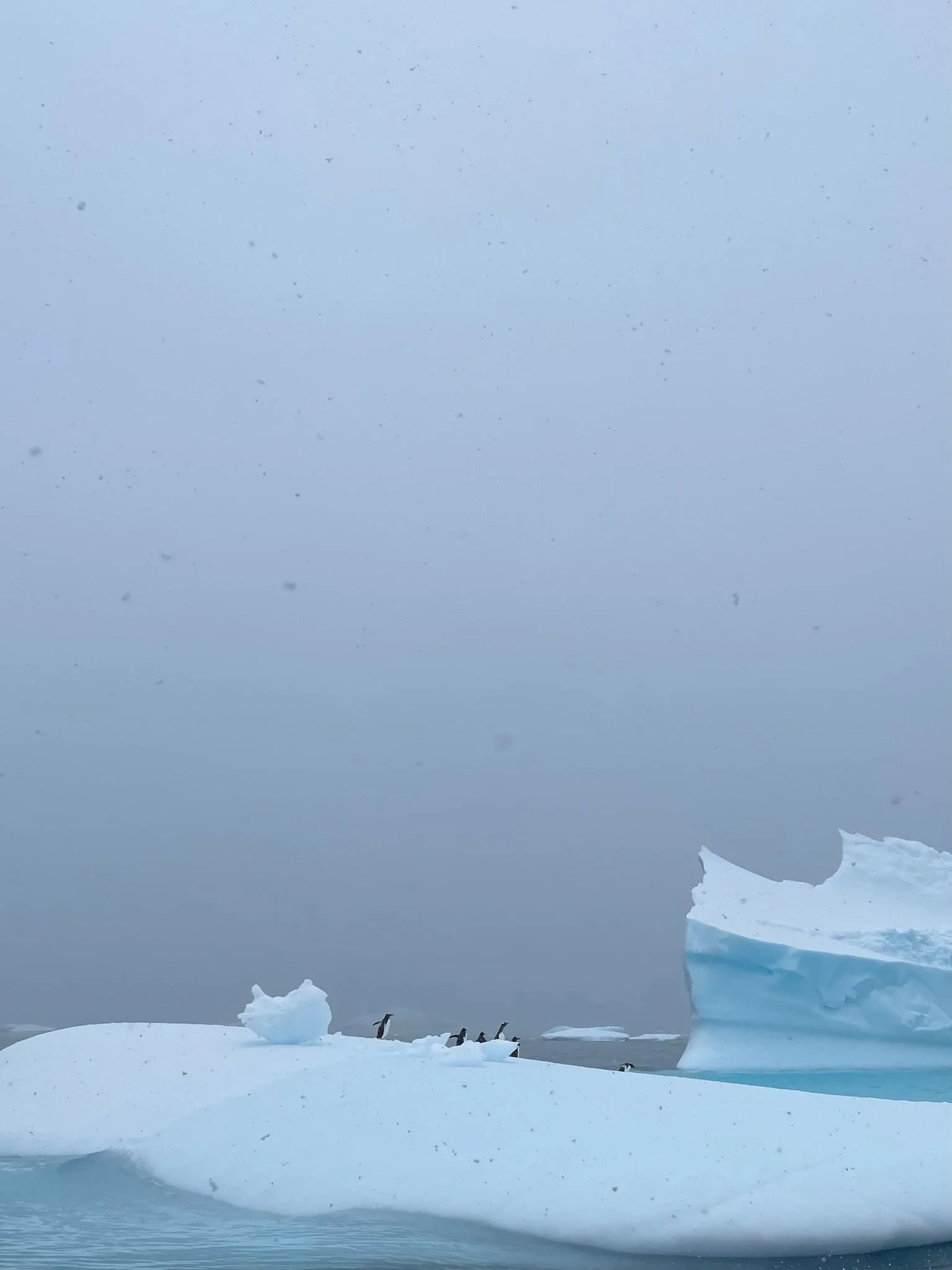 Say hello to our new phone background