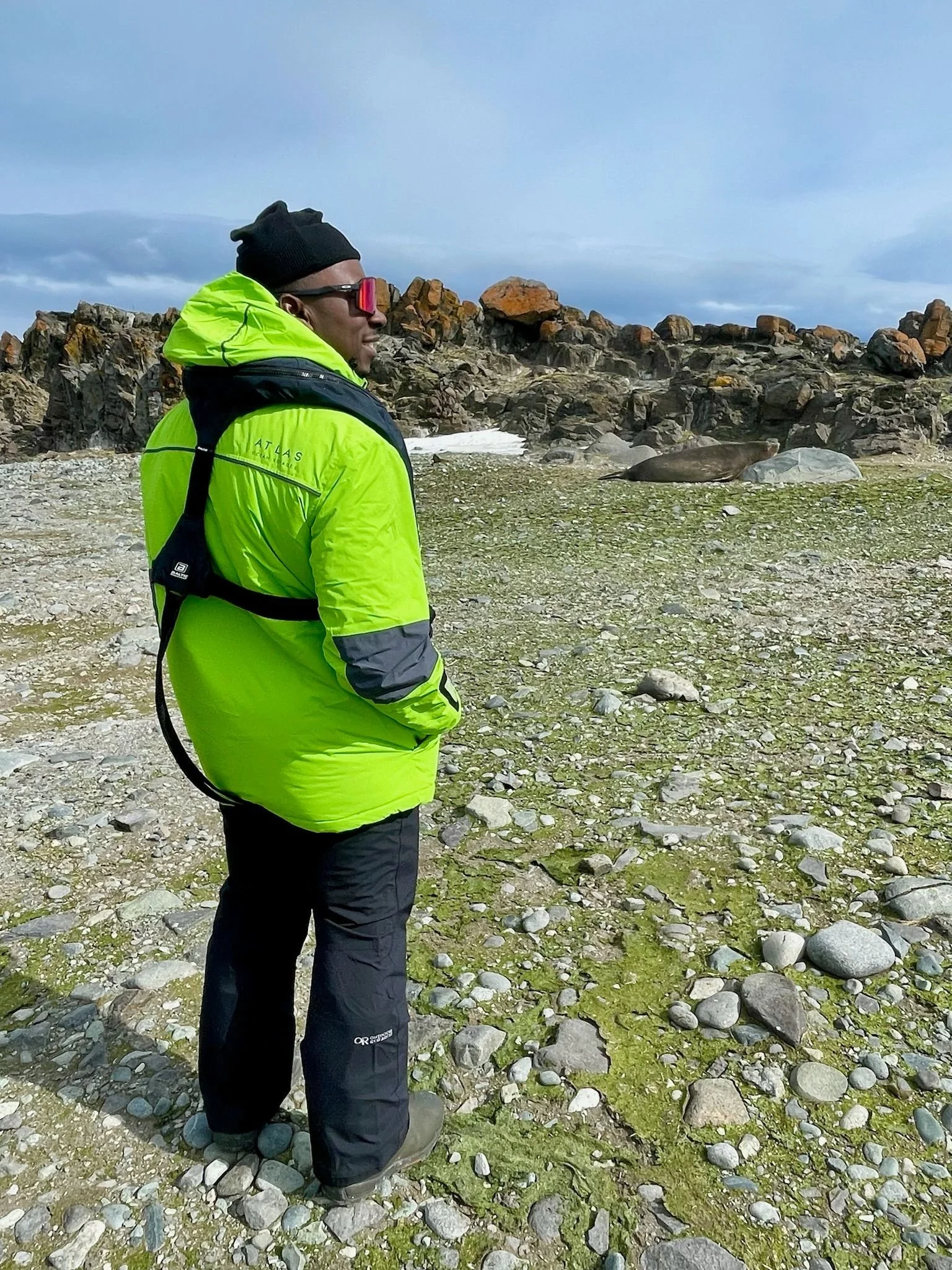 First of many seal spottings