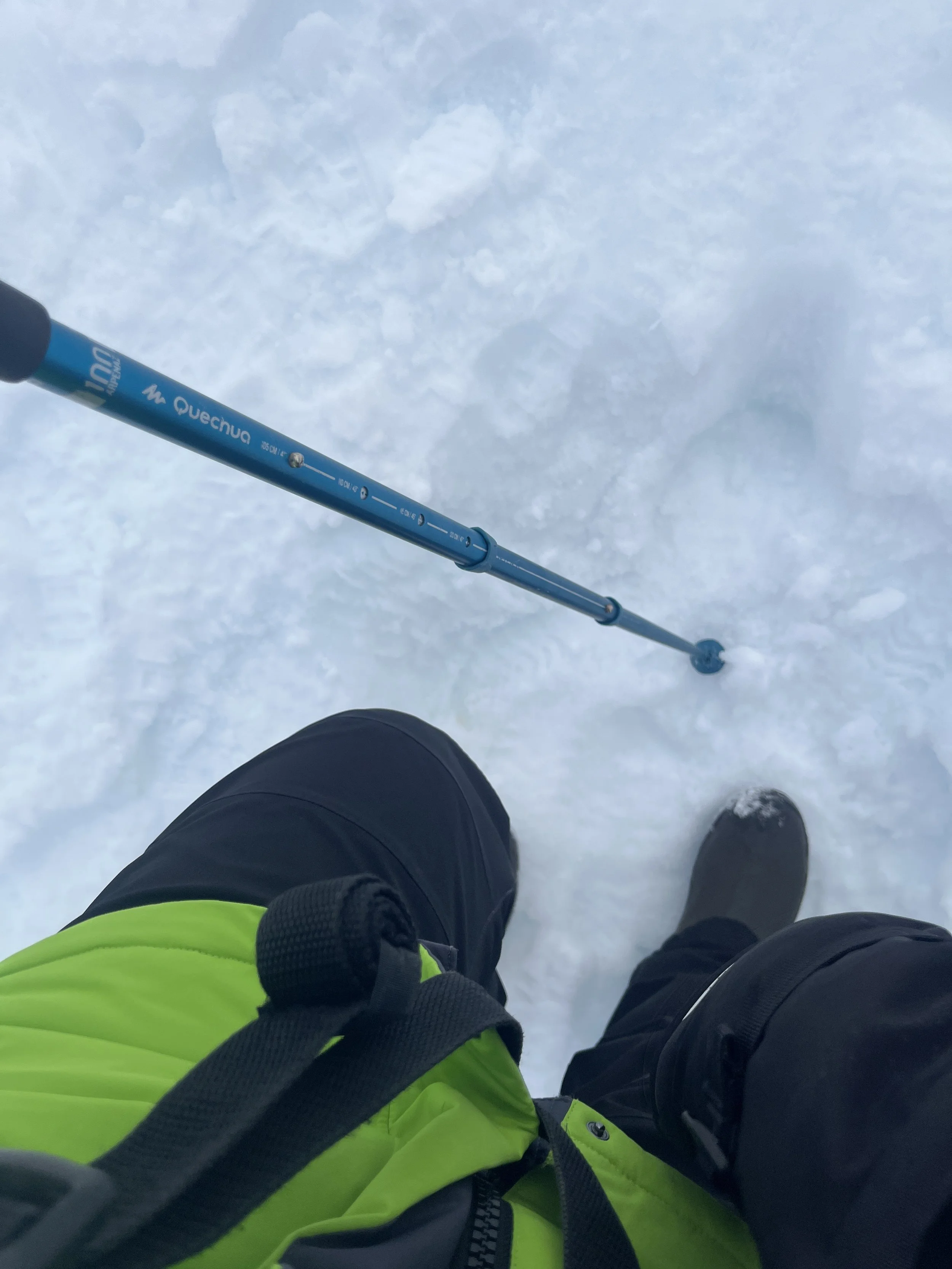 Polar hiking was no joke, poles were absolutely necessary 