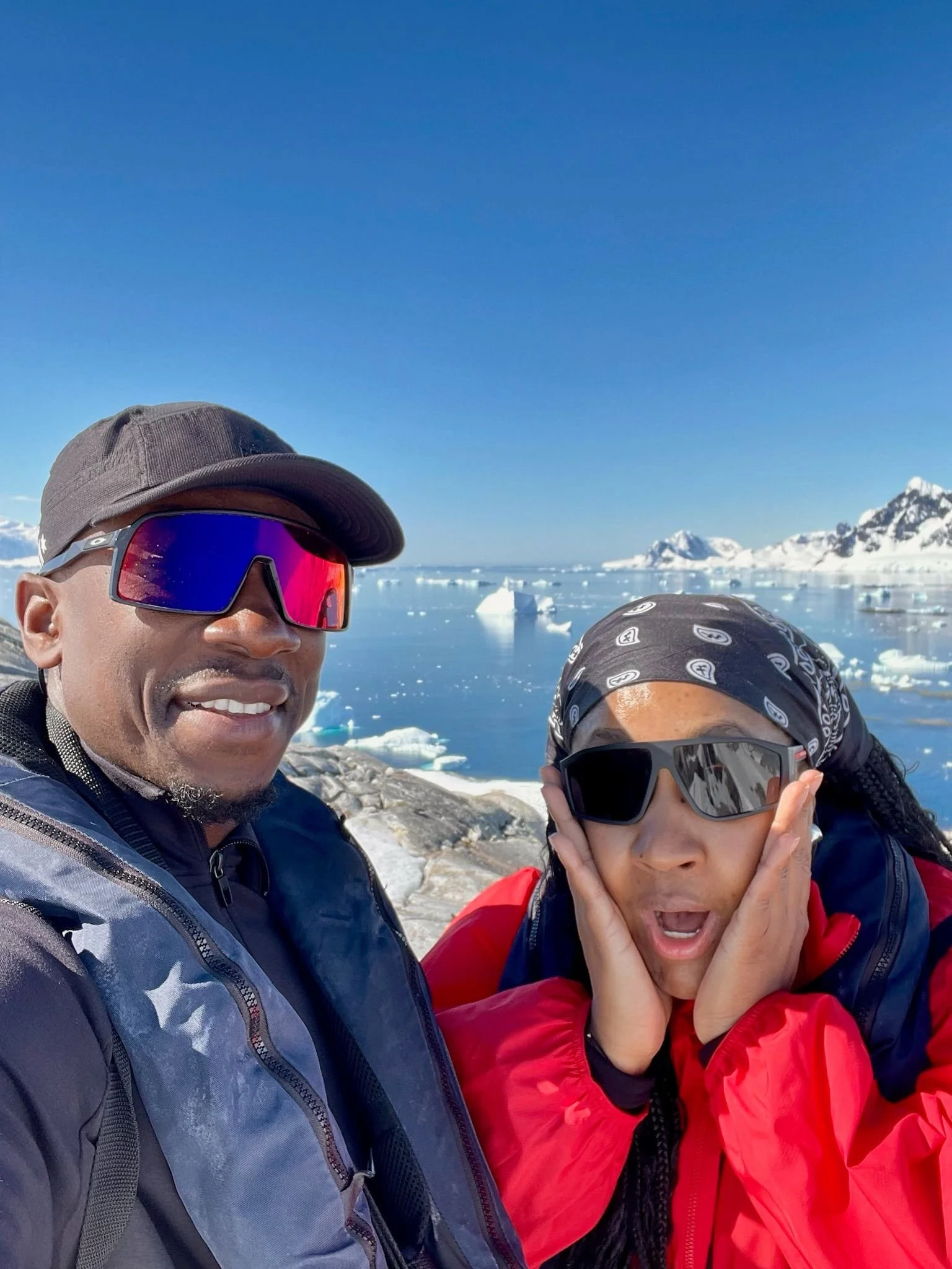 You'd make this face too if you saw a bird steal a penguin egg