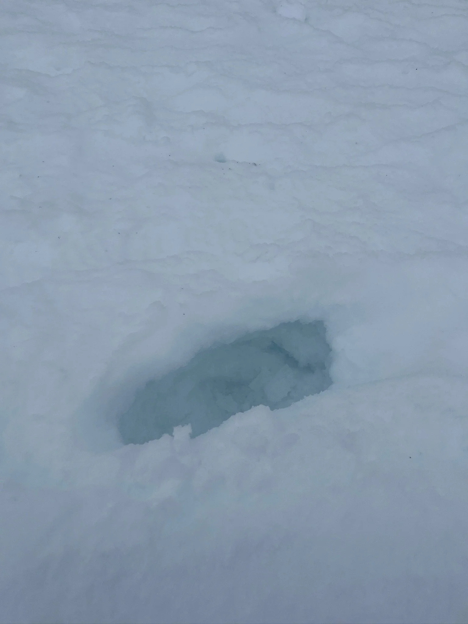 Each step was like roulette, Chelsea fell into a hole waist deep. That's when the poles came in handy.