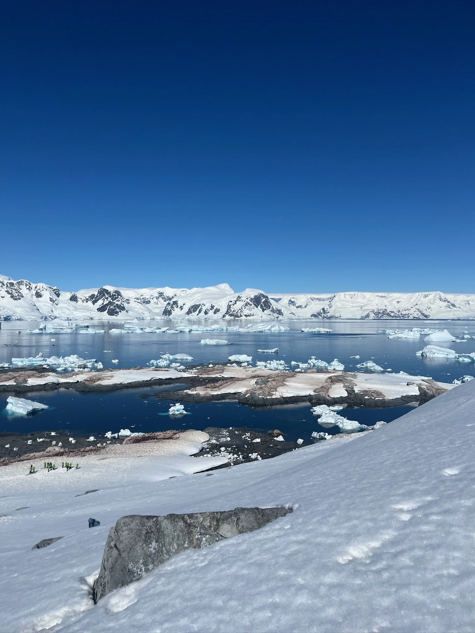 Hiking amongst several penguin colonies