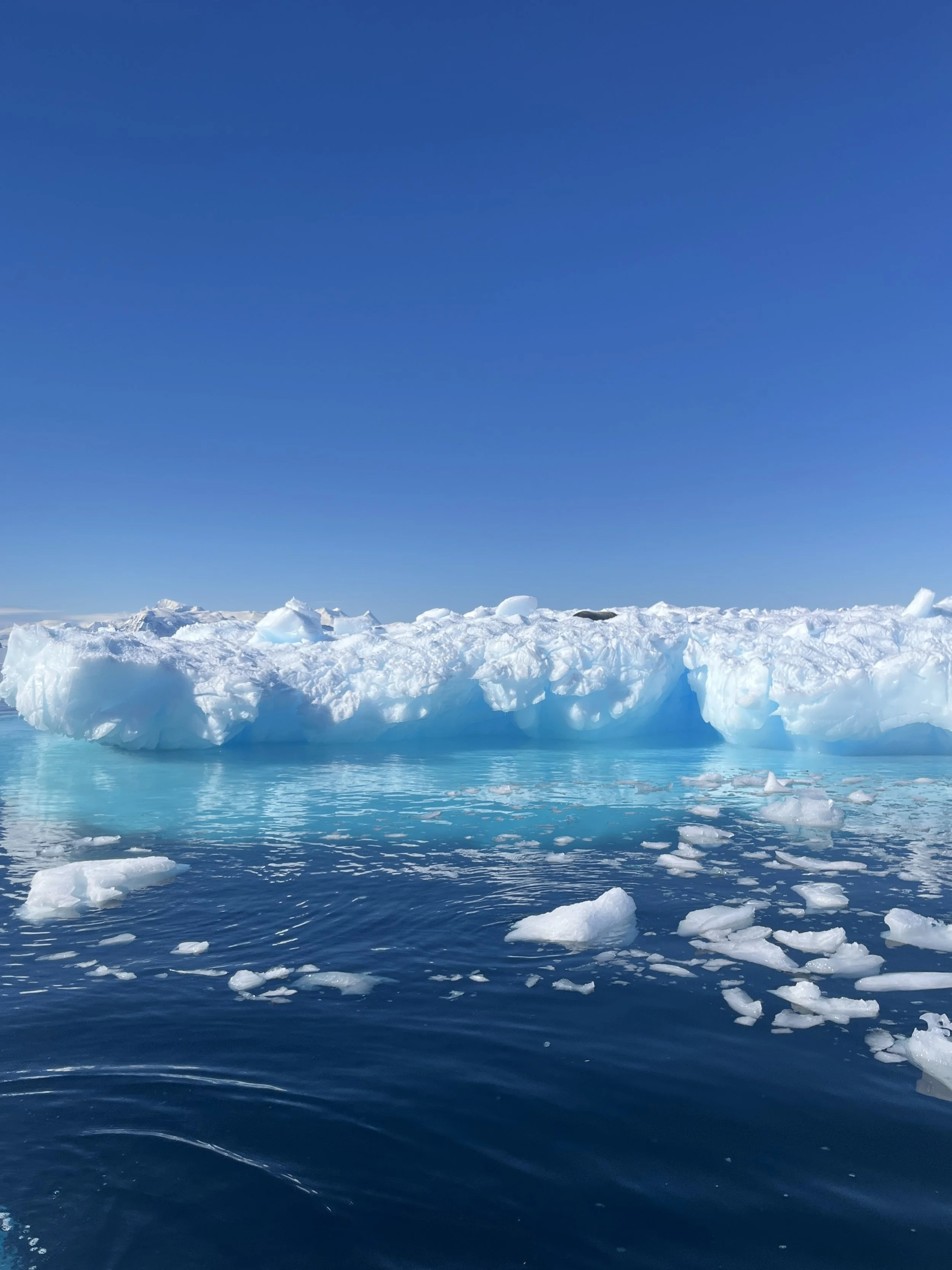 Can you spot the seal?