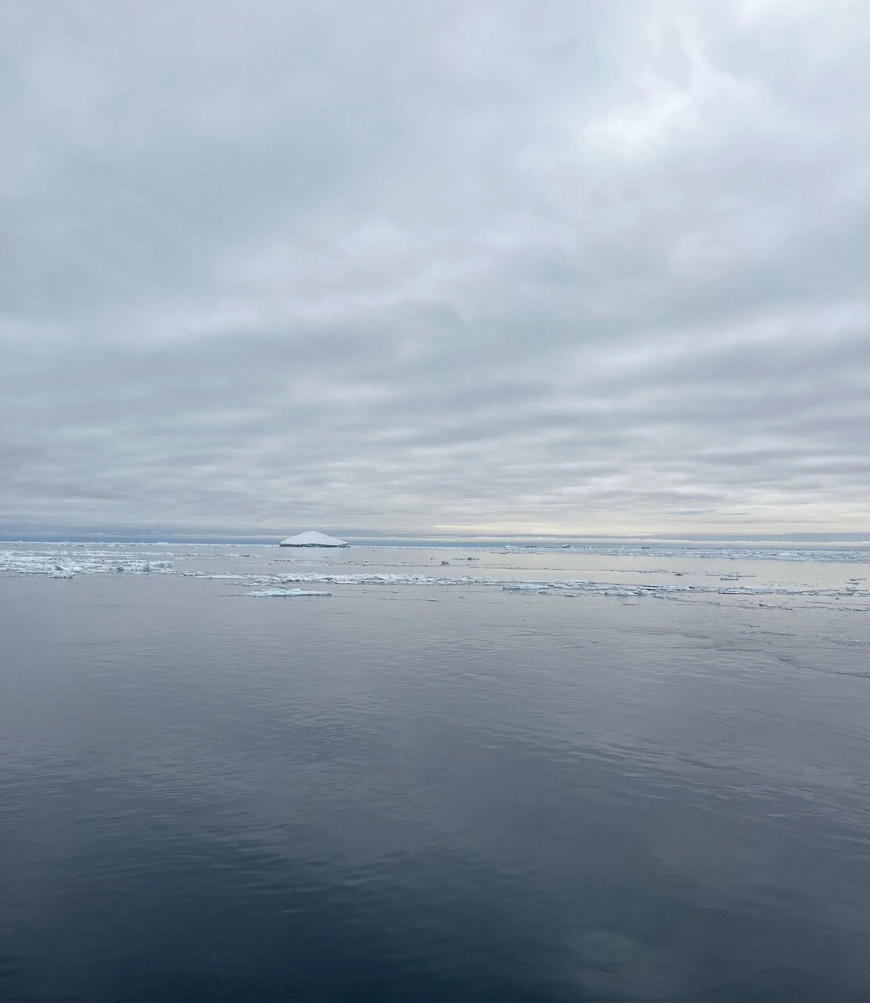 In the Antarctic Sound, the water was so still 