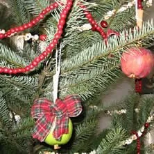 Christmas at Philip Foster Farm