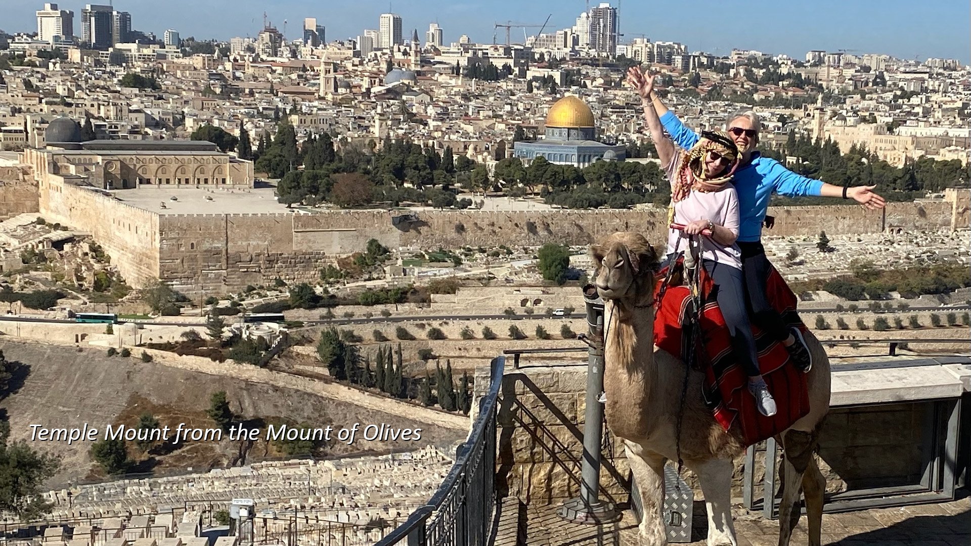 Temple Mount from Mount of Olives with camel - captioned.jpg