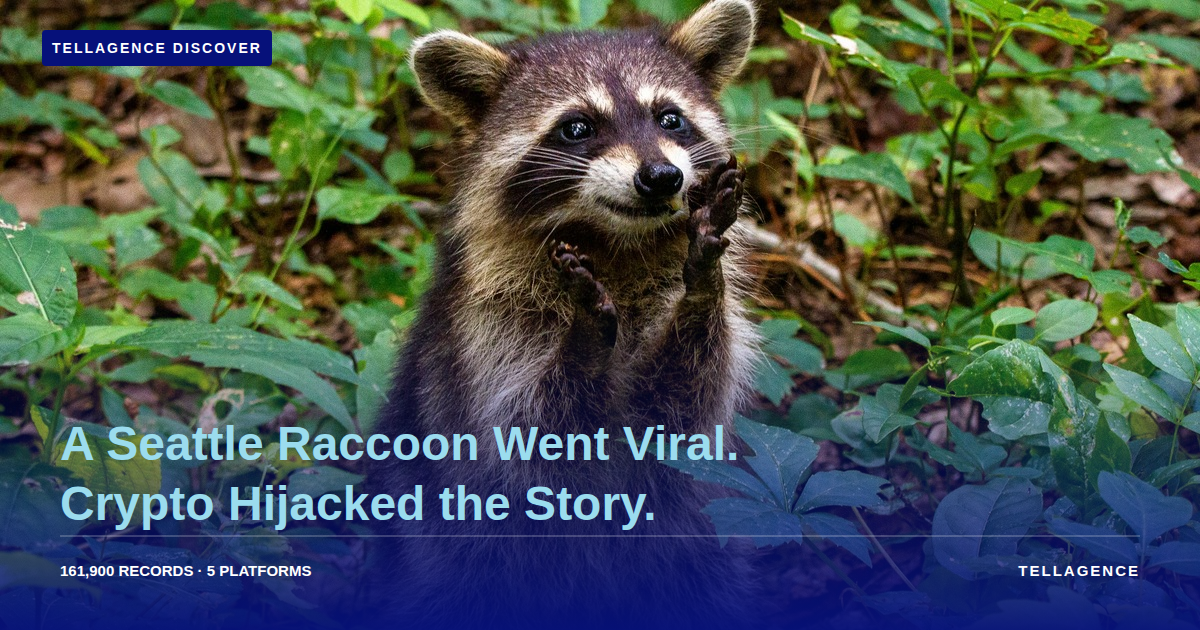 A Seattle Raccoon Went Viral. 161.9K Mentions Later, A Crypto Story Hijacked the Narrative.