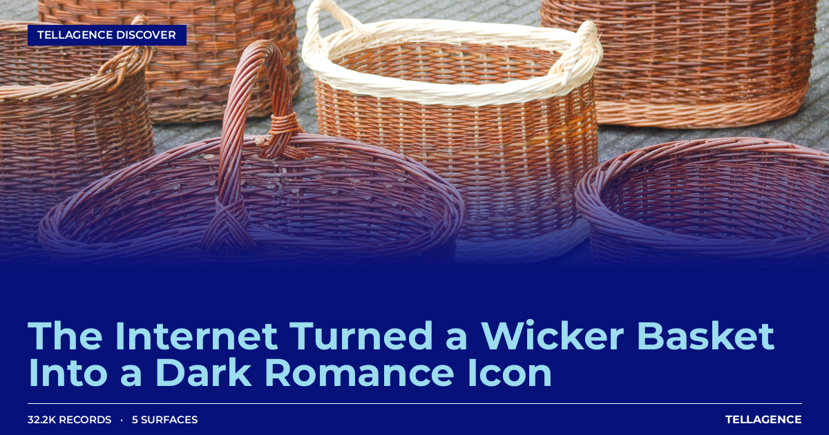 Alexander Skarsgård Is a Hot Wicker Basket: How BookTok Hijacked a Sundance Indie