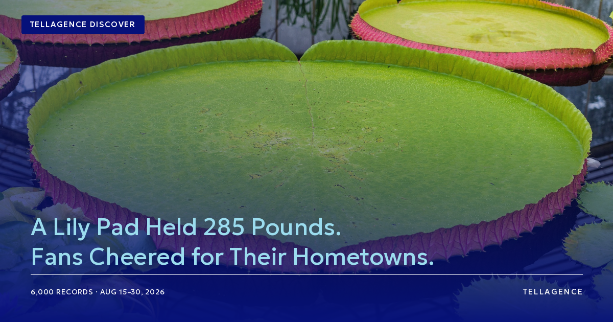 Why the Waterlily Weigh-Off Became an Annual Ritual