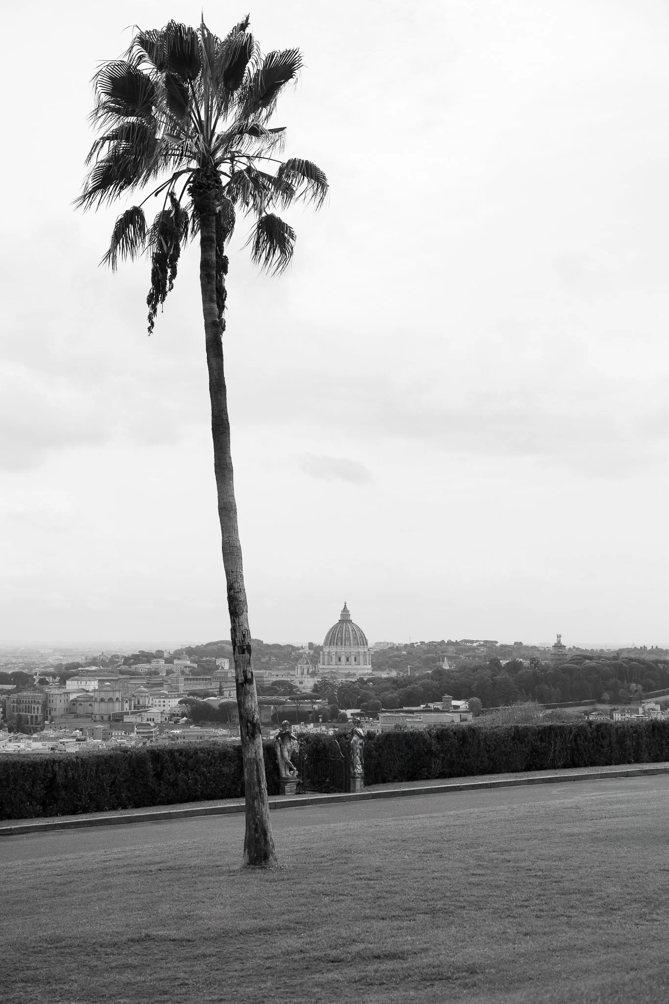 Villa Miani Portfolio-3.jpg
