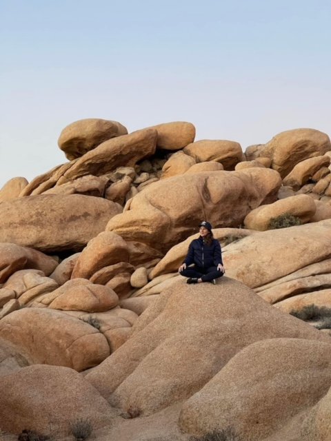 Joshua Tree Retreat  (Copy)