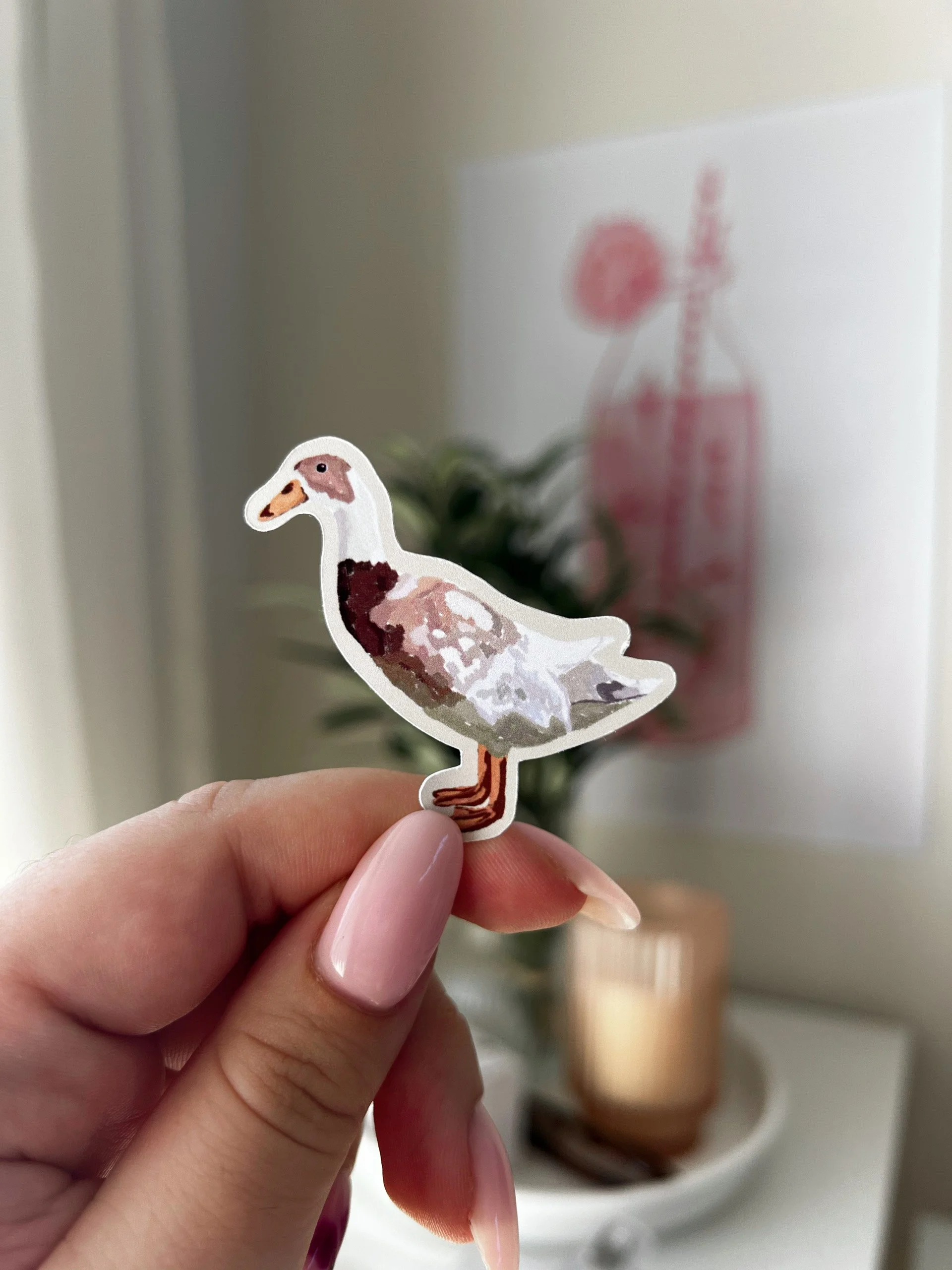 birdy_120.JPG