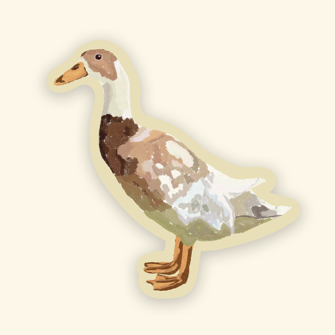 The Little Duck Sticker