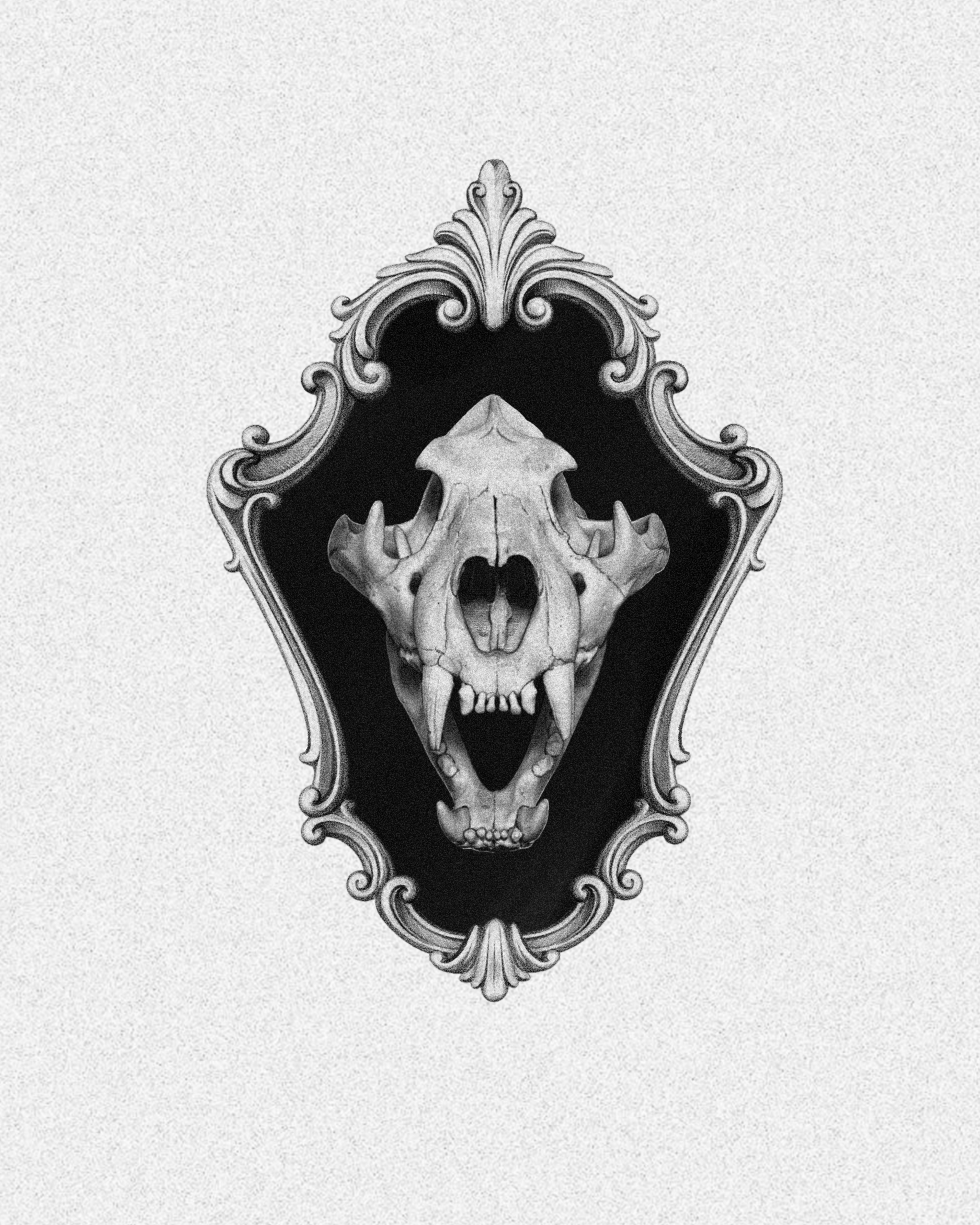 Jaguar Skull