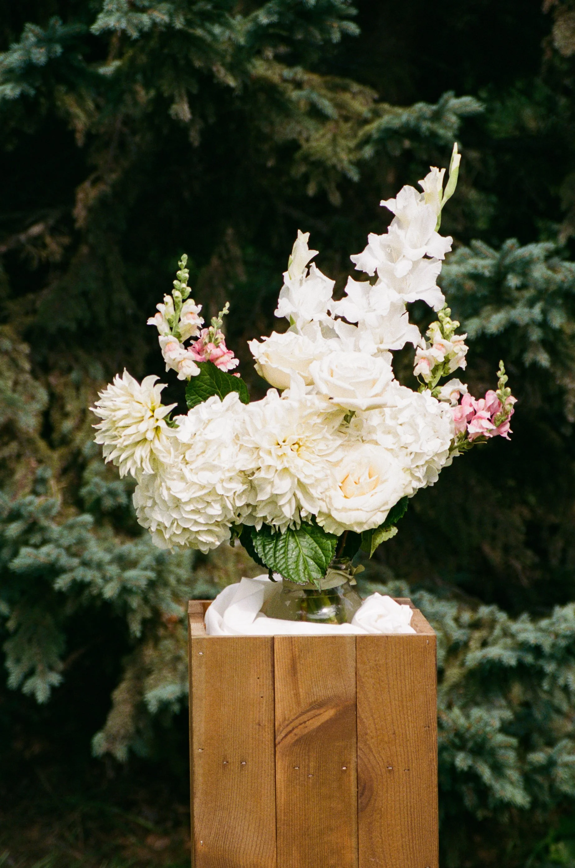 20250823 FILM-052.jpg