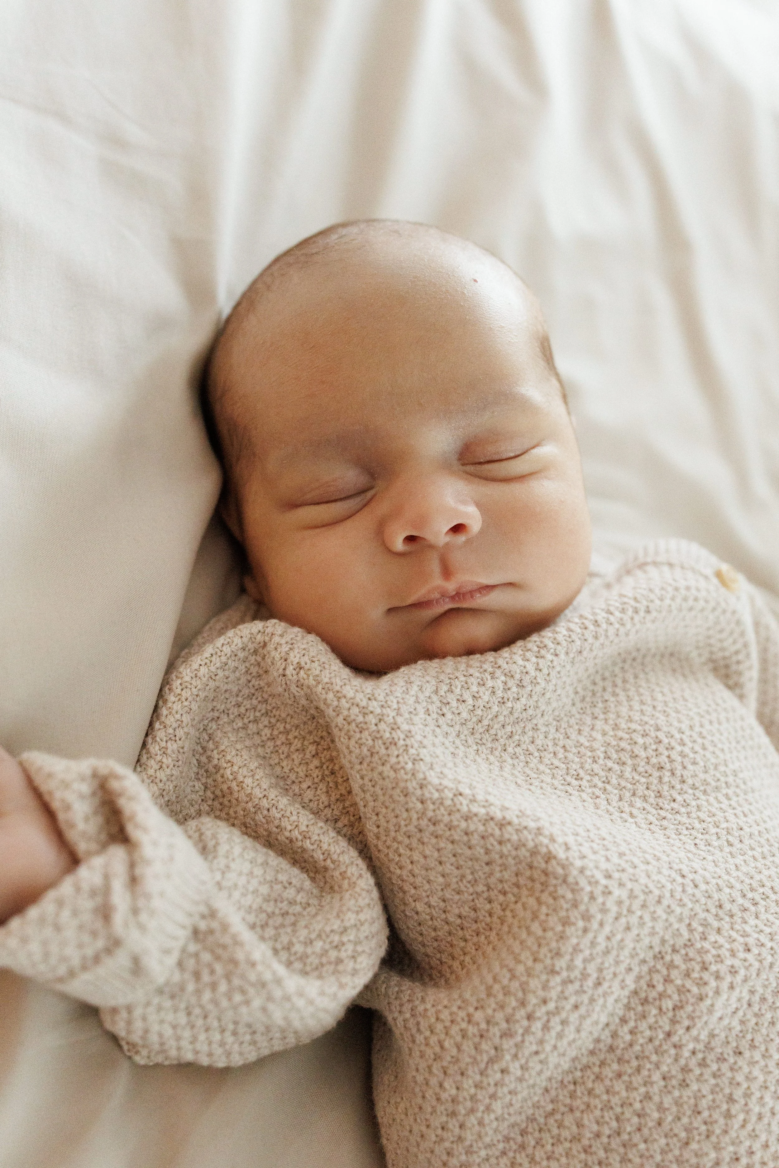 20260118 WELCOME FELIX-32.jpg