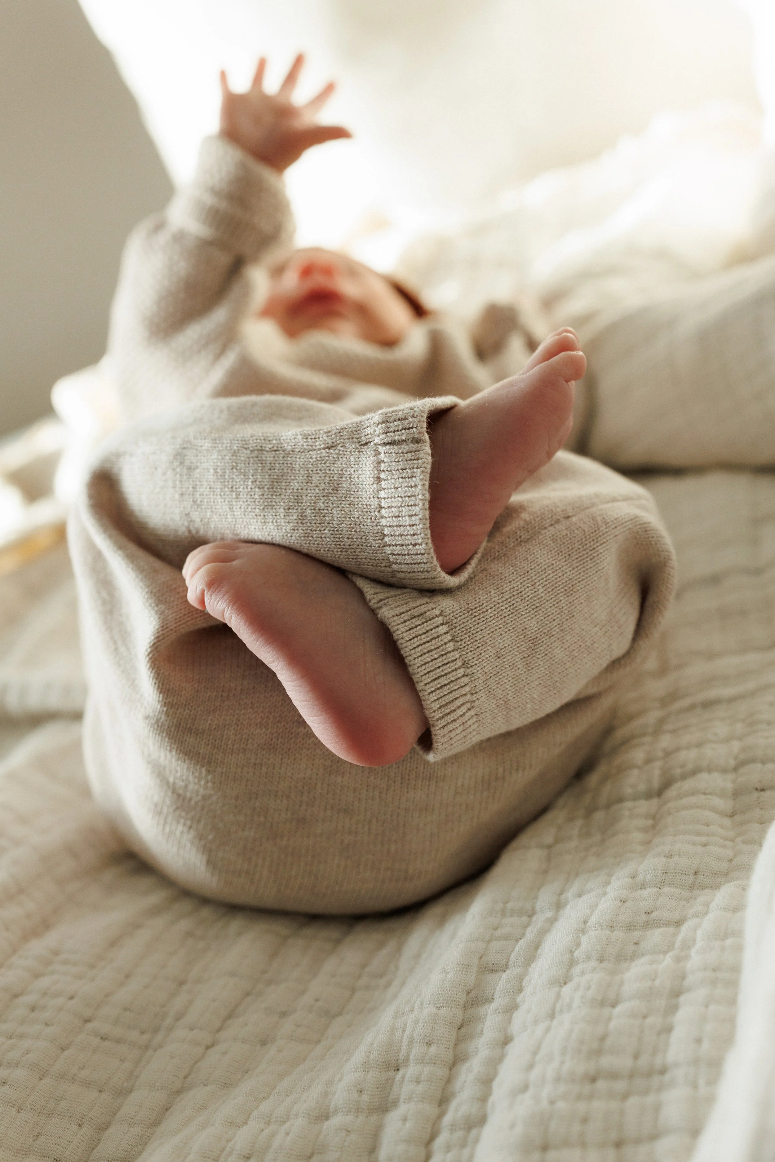 20260118 WELCOME FELIX-58.jpg