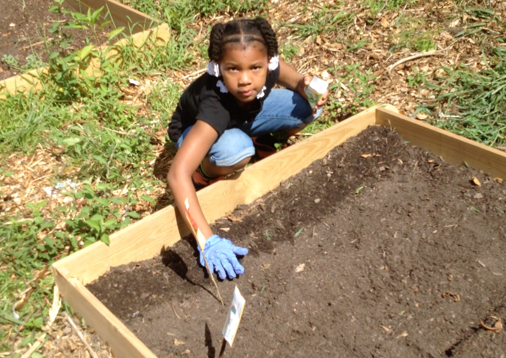 Screen Shot 2015-06-13 at 10.09.10 AM.png