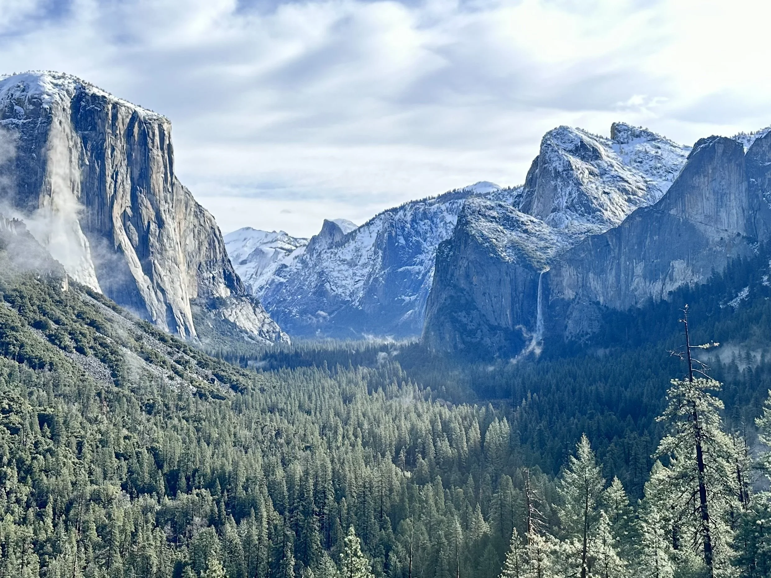 The tree lined valley floor of Yosemite hugs the base of El Capitan and Half Dome.