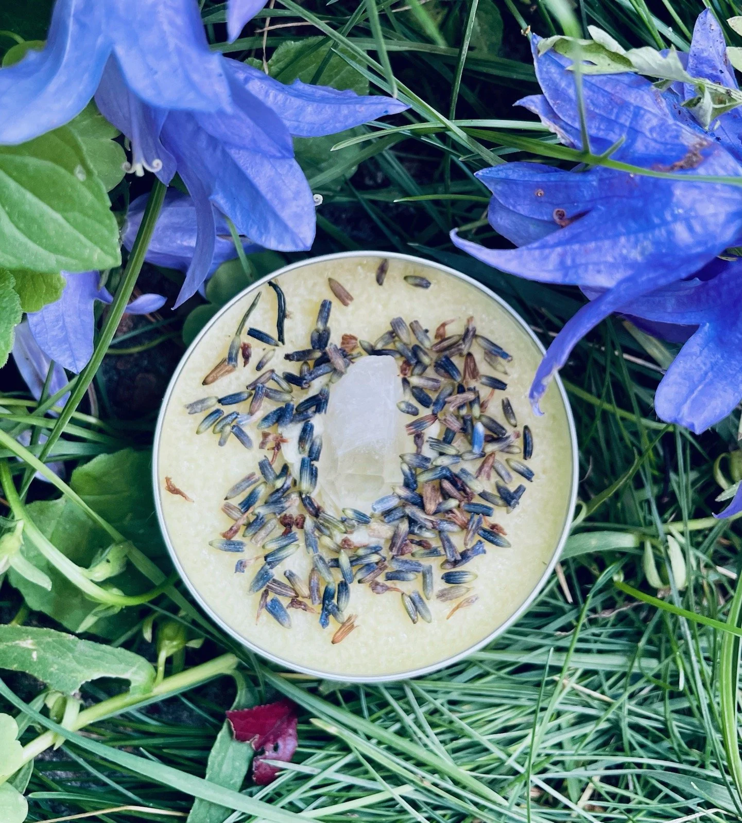 Lavender Infused Cacao Butter