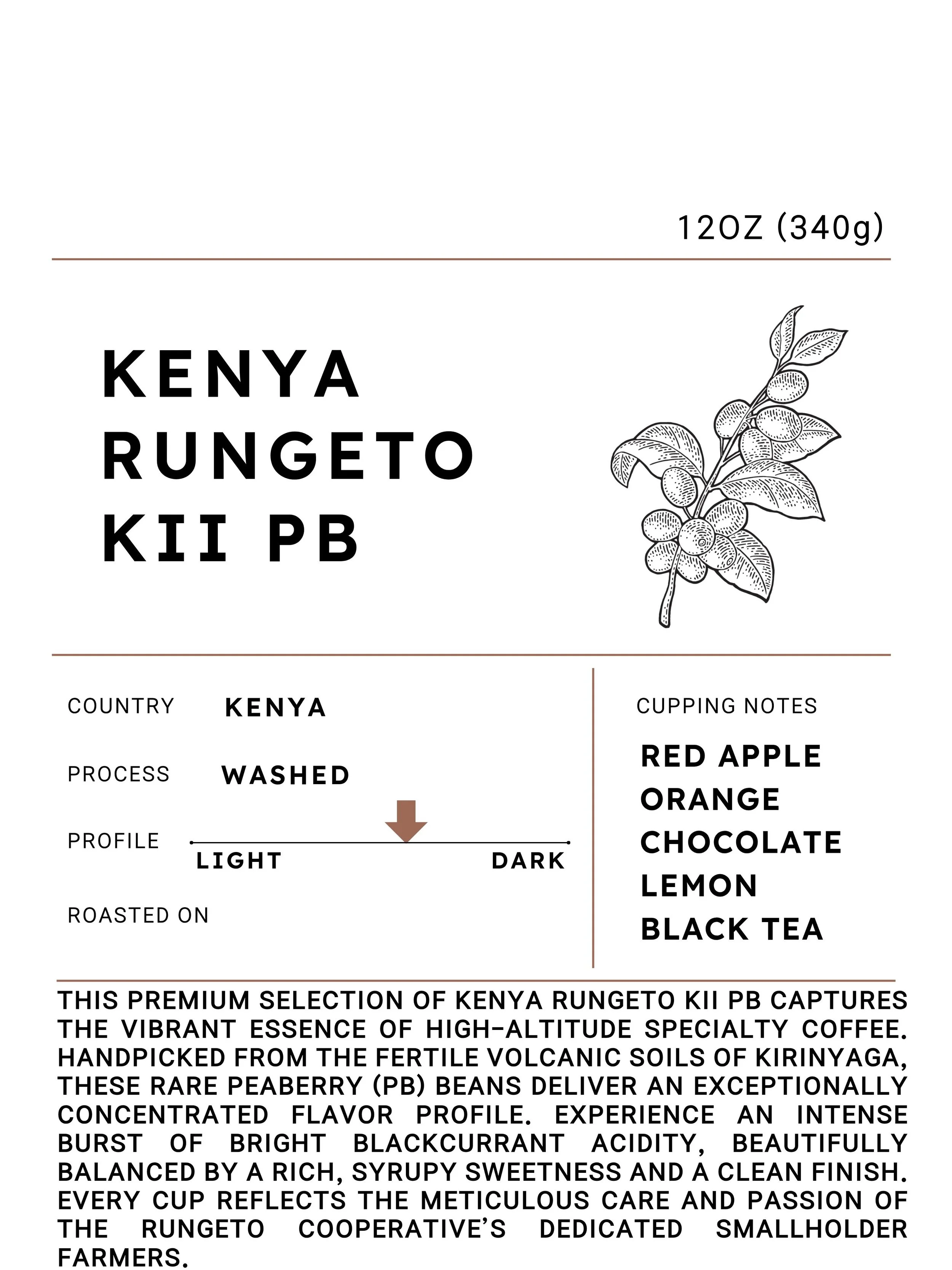 kenya.jpg