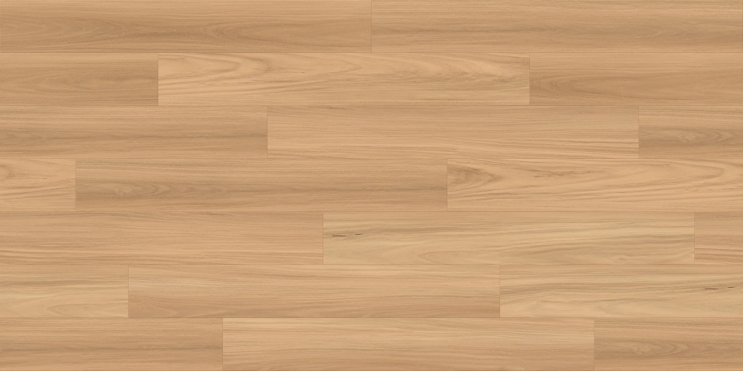 Valley Blackbutt