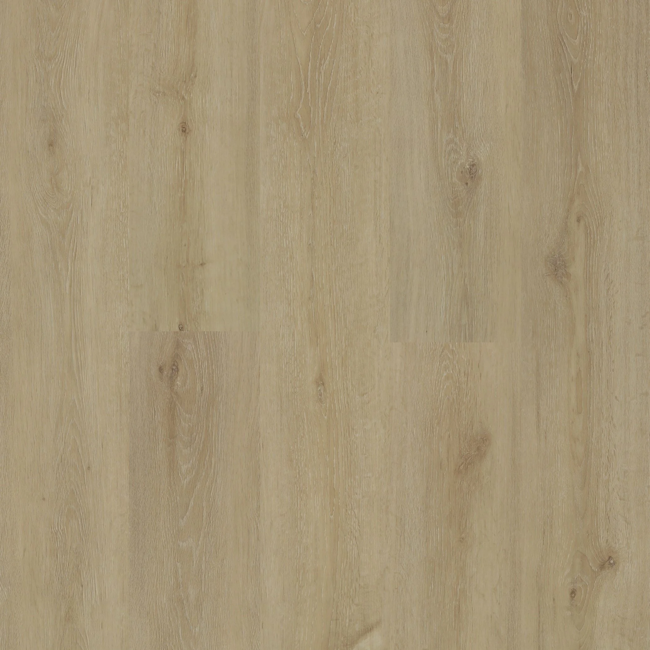 Oceanfront Oak