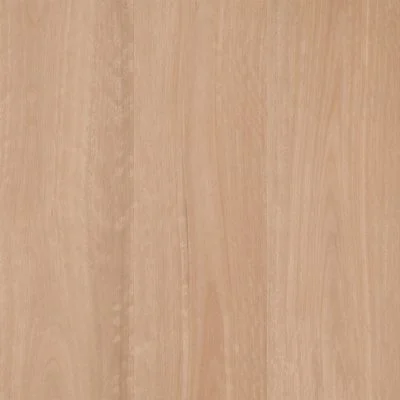 Chai Blackbutt