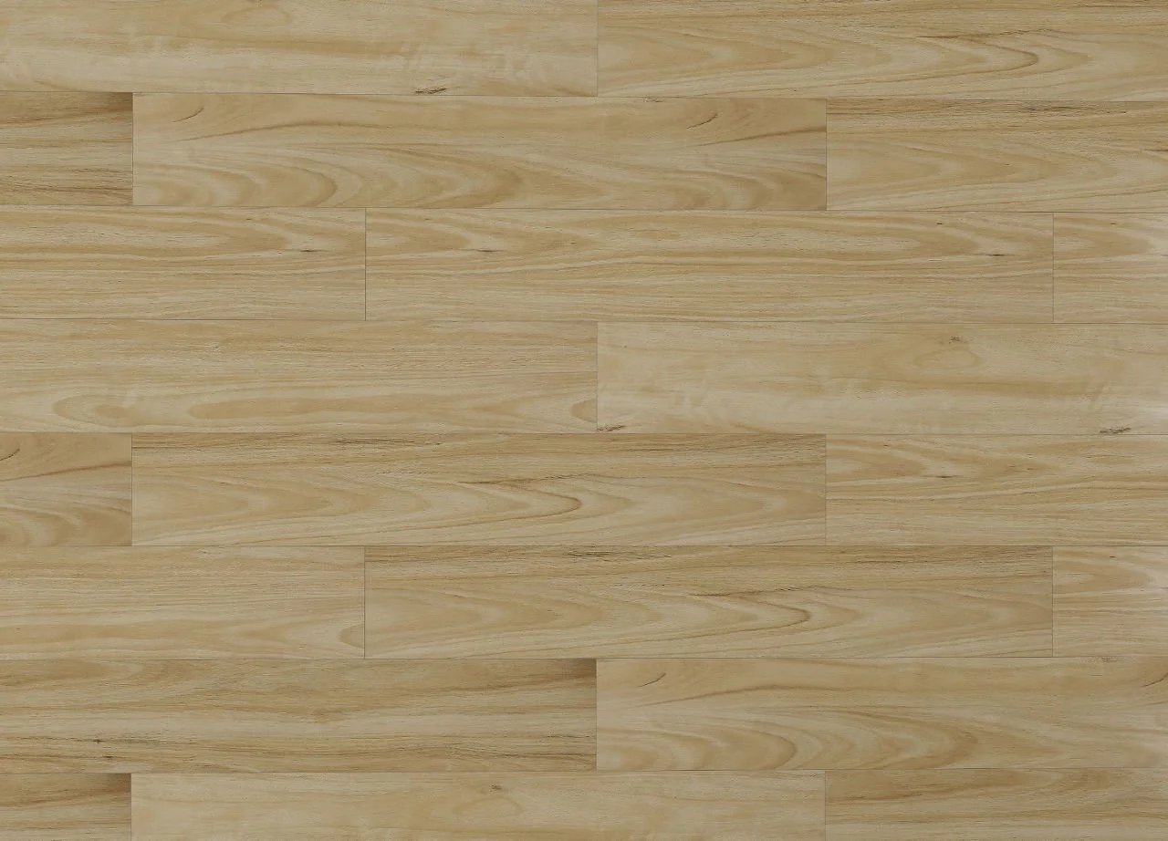 Alpine Blackbutt