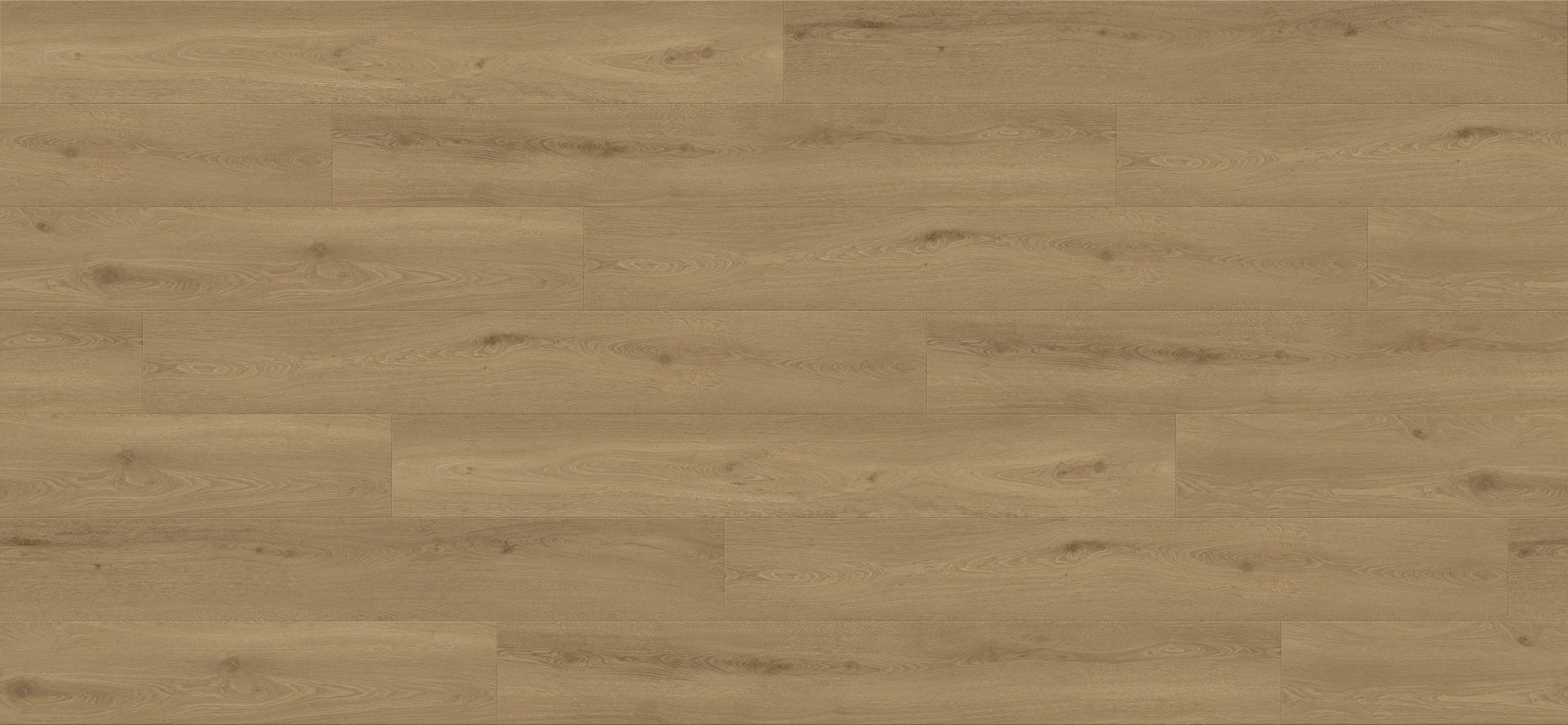 Oasis Oak