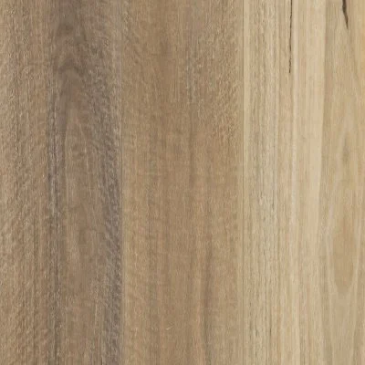 Spotted Gum