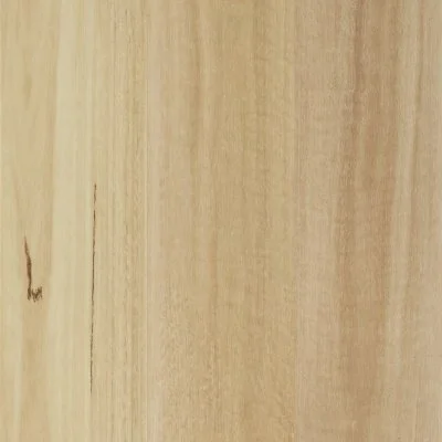 Blackbutt