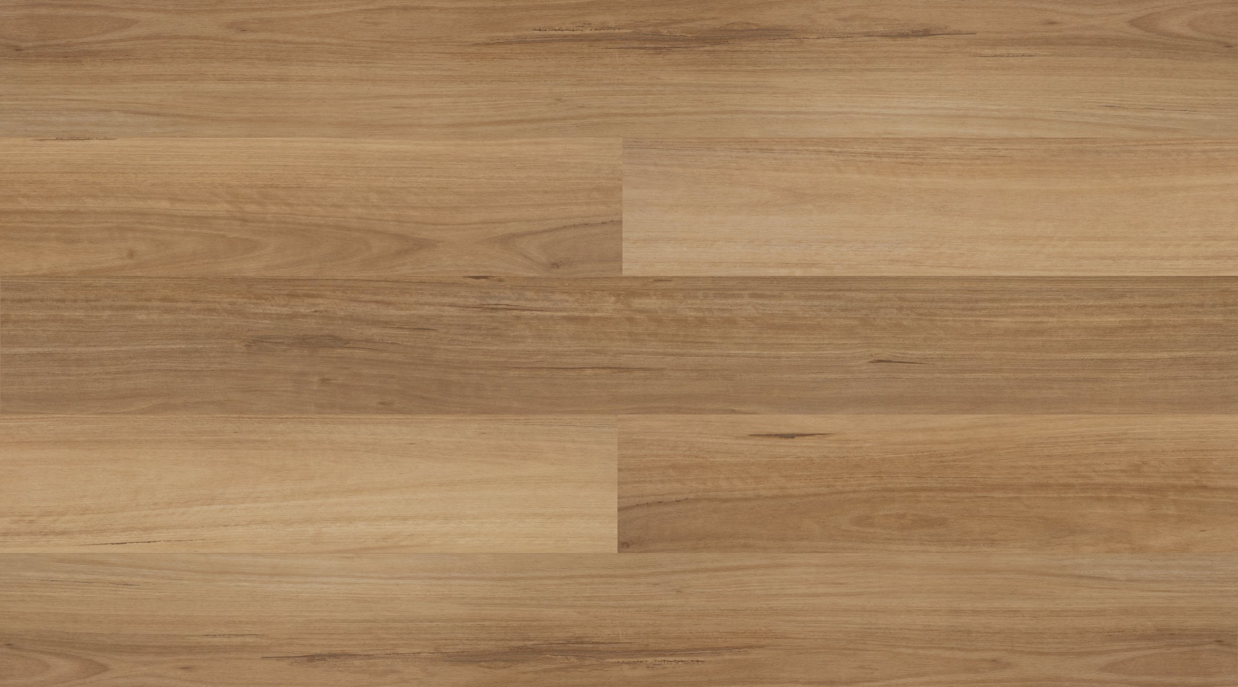 Blackbutt