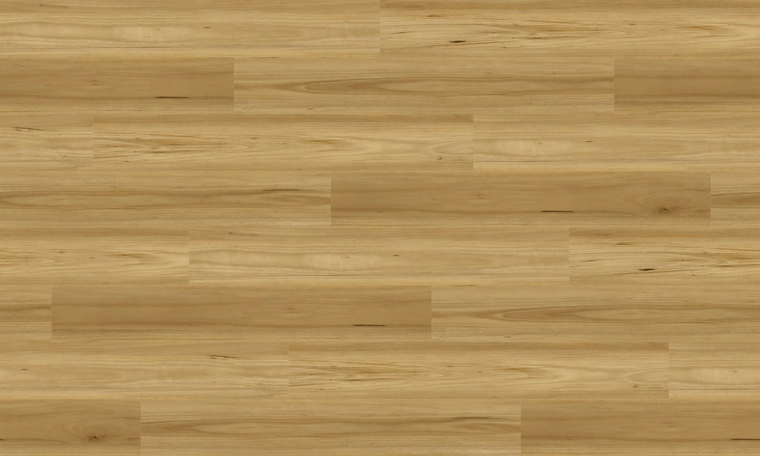 Coraki Blackbutt
