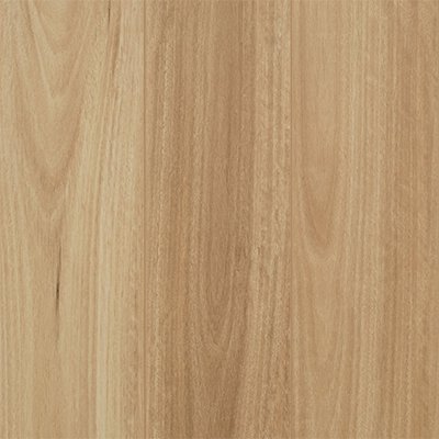 Mid Coast Blackbutt