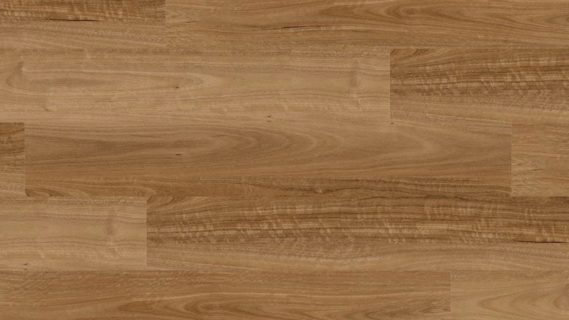 Marble Spotted Gum