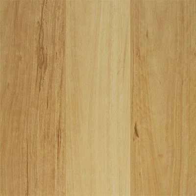 Blackbutt