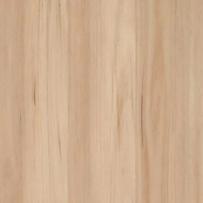 Southern Blackbutt