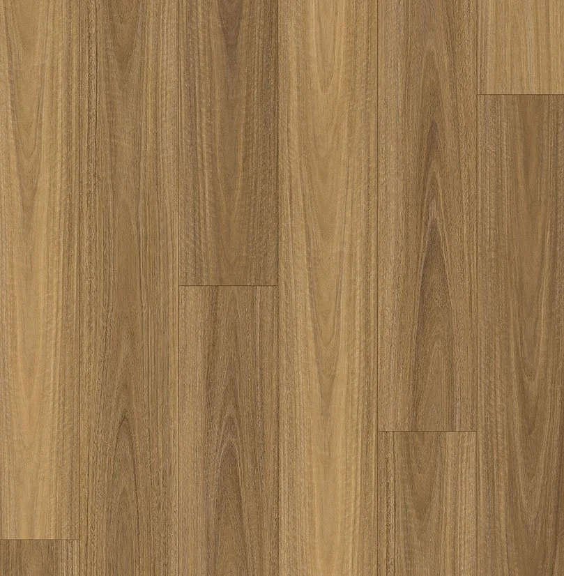Shadowed Spotted Gum