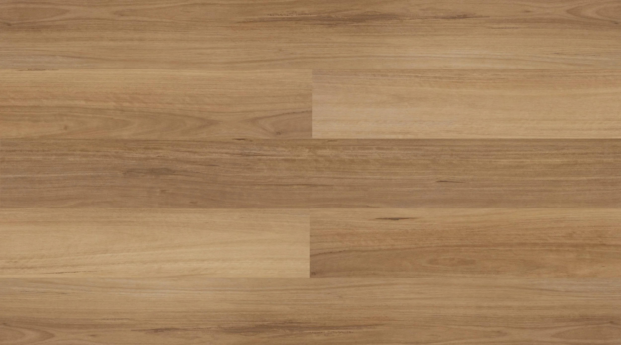Blackbutt XL