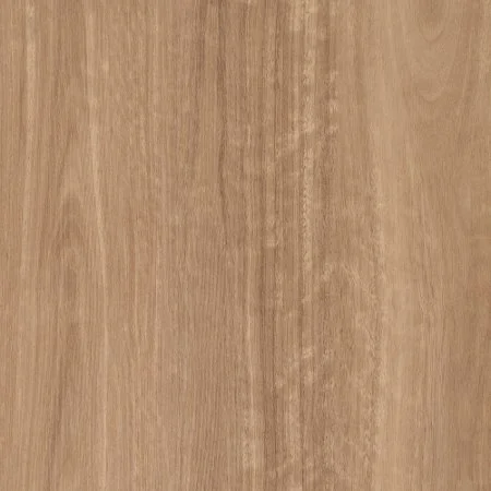 Sierra Spotted Gum