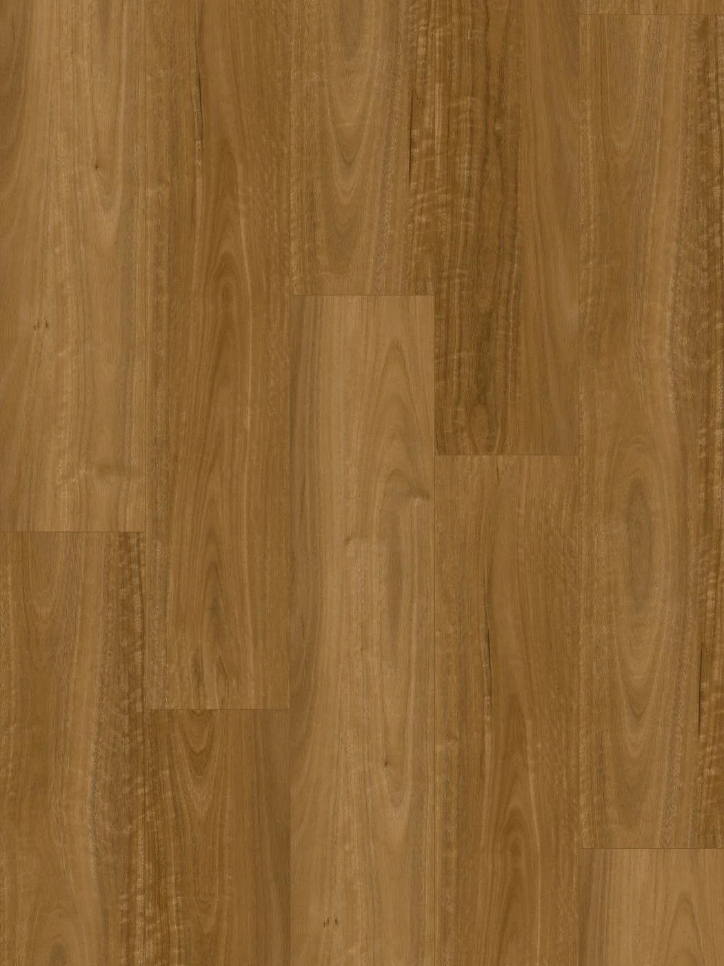 Eastern Spotted Gum