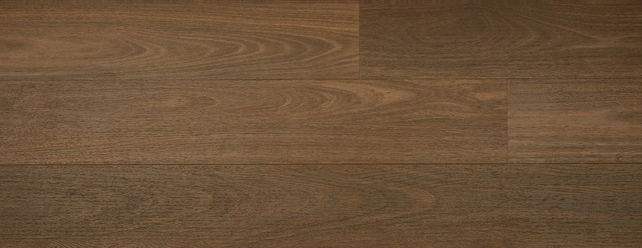 Southern Spotted Gum