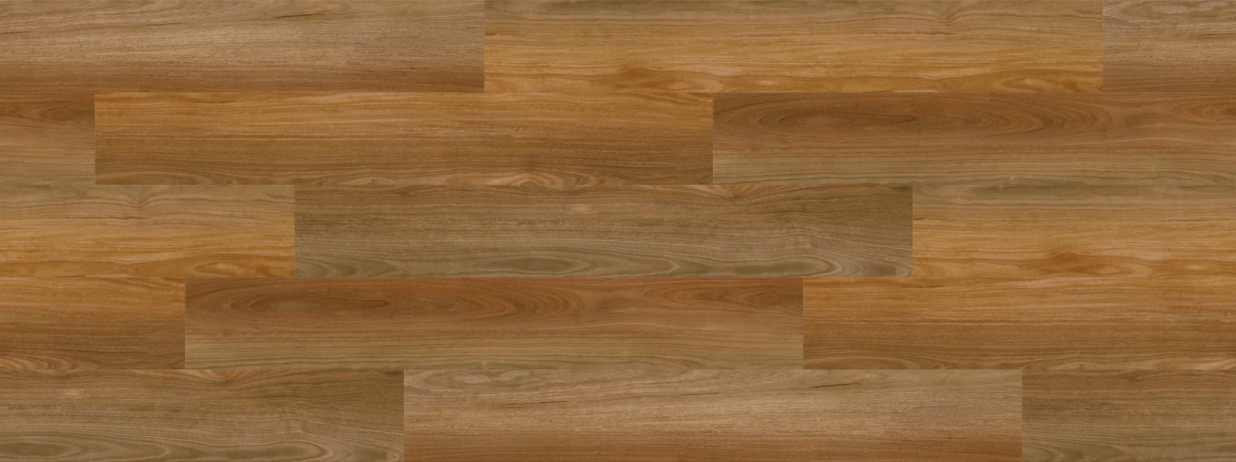 Ernest Spotted Gum