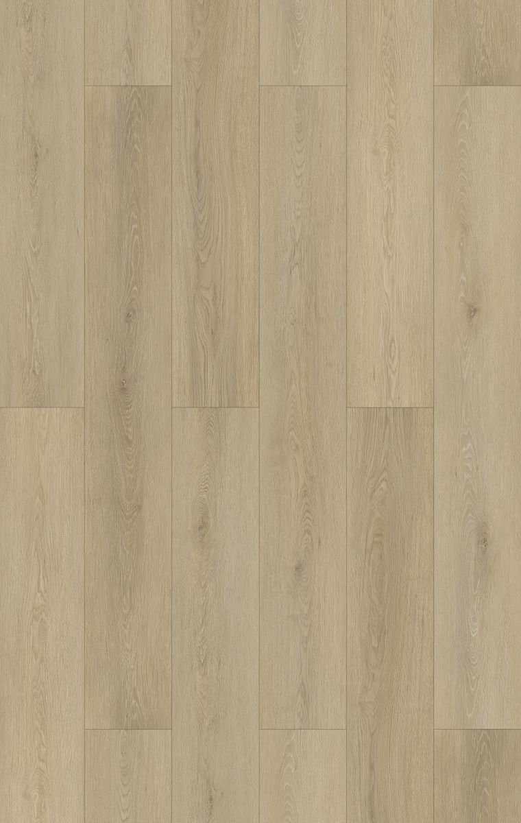 Coventry Sand
