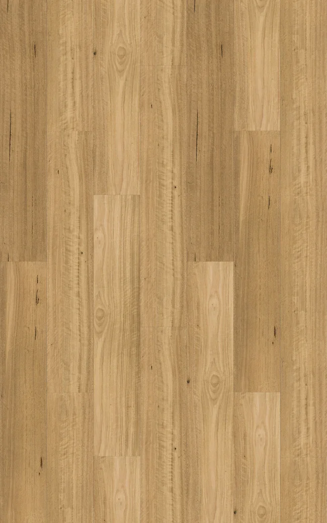 Sanded Blackbutt