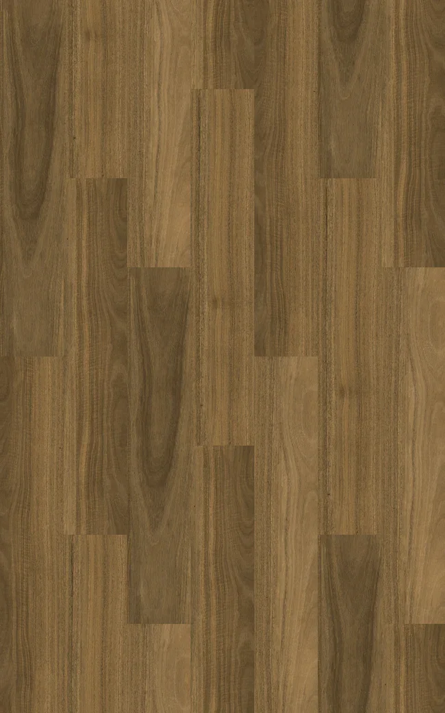 Silky Gum
