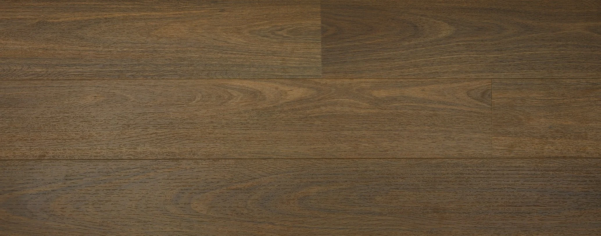 Northern Spotted Gum